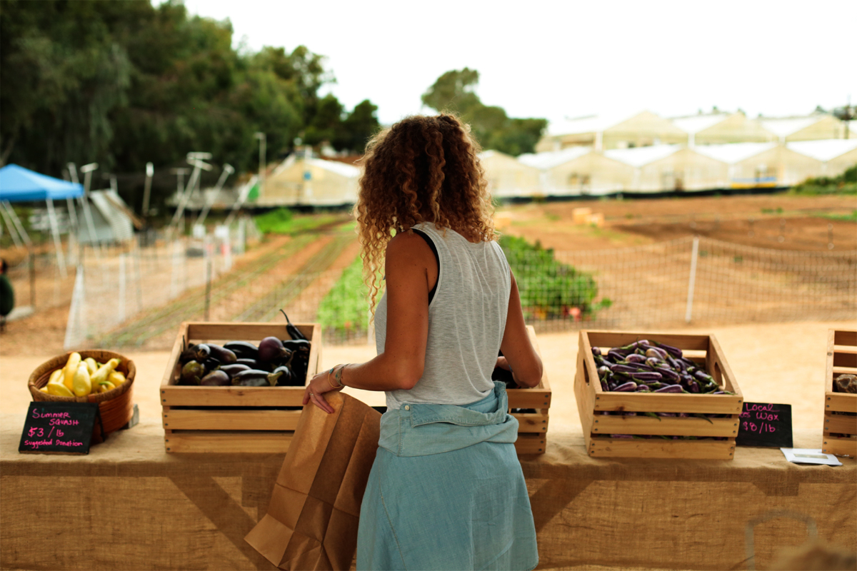 The pay-what-you-can farm stand at Coastal Roots Farm.