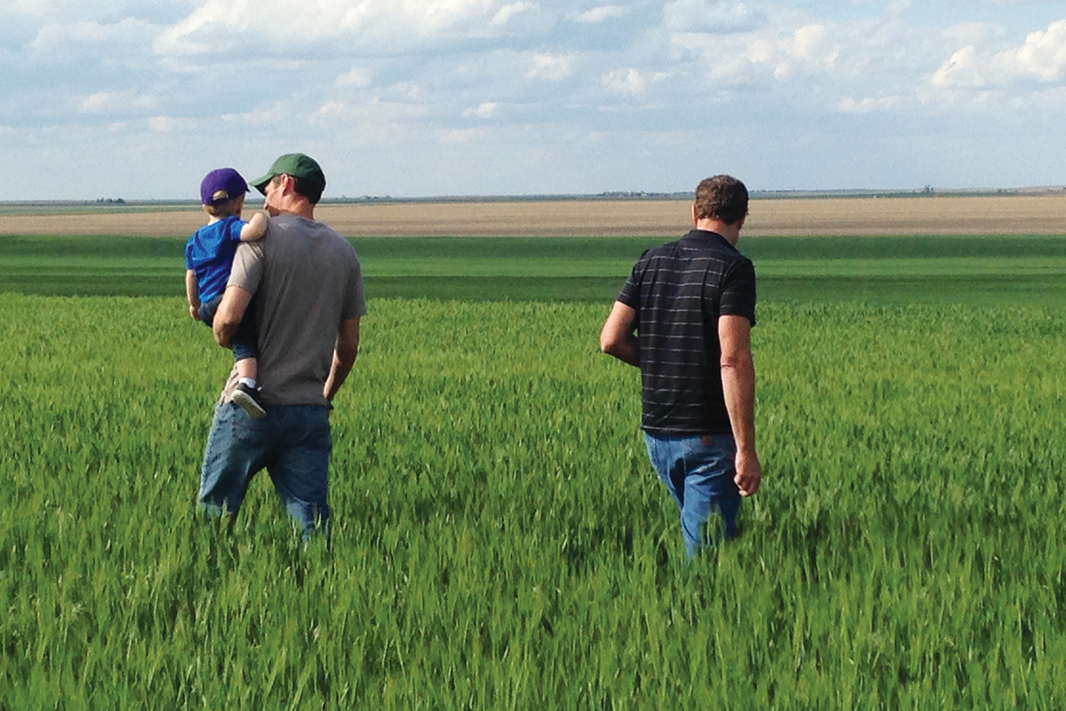 Tim Raile (right) and his son Michael (left) holdling his own son, looking over fields they are transitioning to organic.