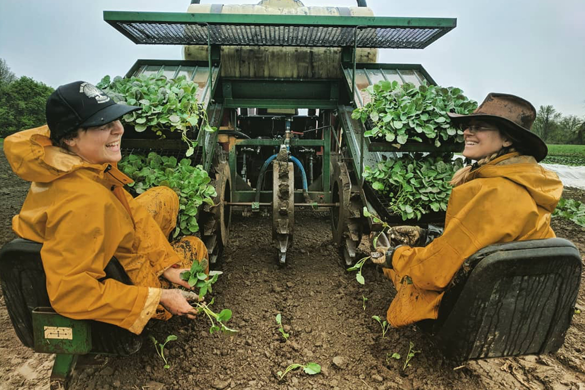 Harvesting in pairs at Intervale Community Farm. (Photo credit: Brian Shevrin)
