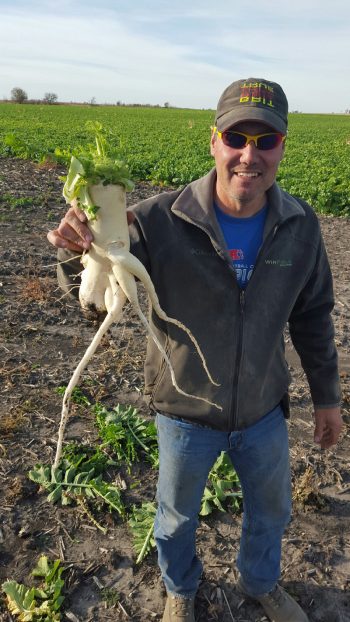 Rick Clark holding a tillage radish cover crop.