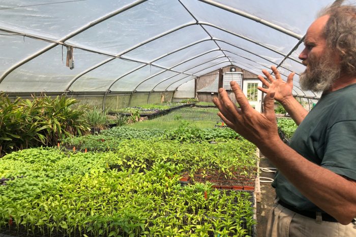 Heinz Thomet inside a greenhouse at Next Step Produce in Maryland