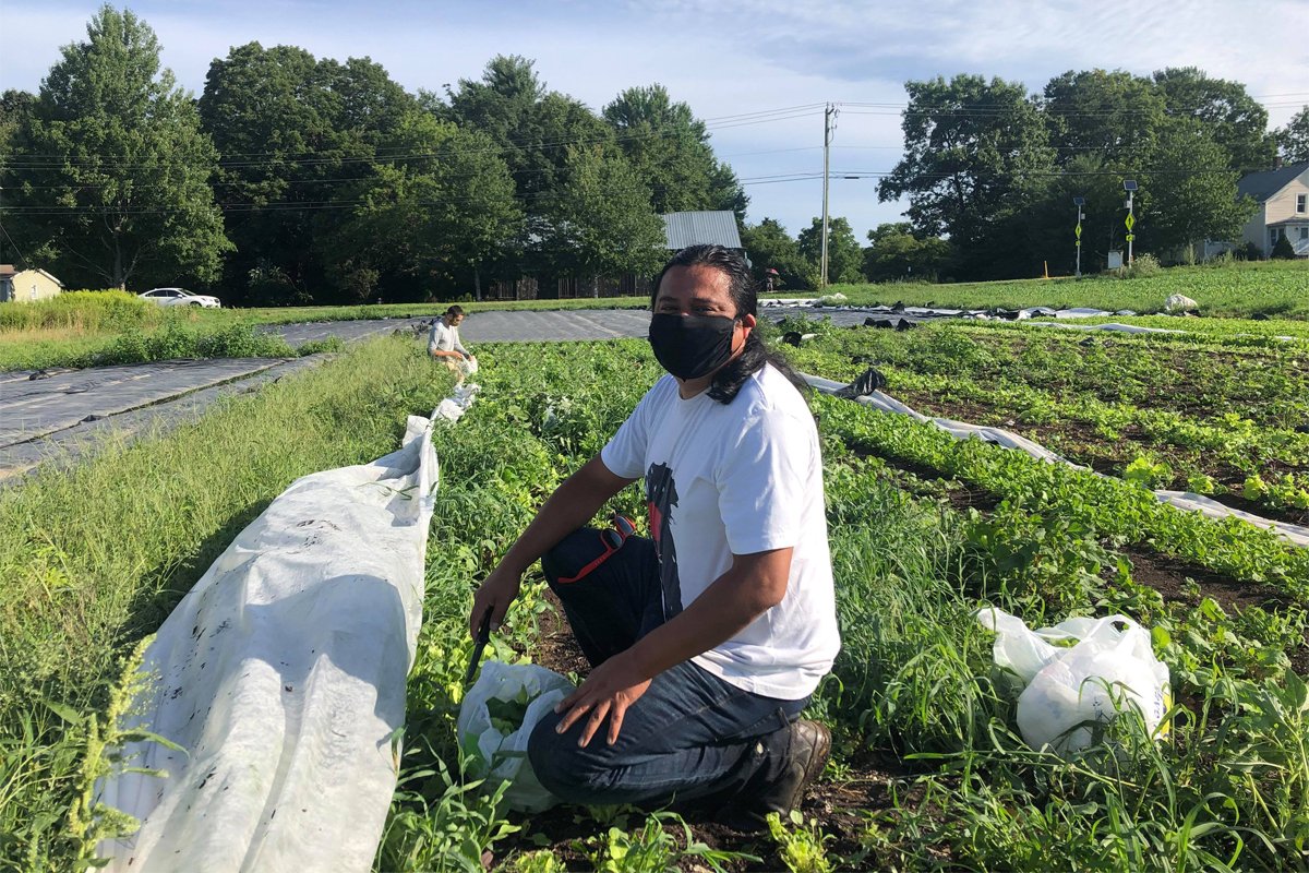 Neftalí Durán picking produce at a farm. Photo courtesy of Neftalí Durán