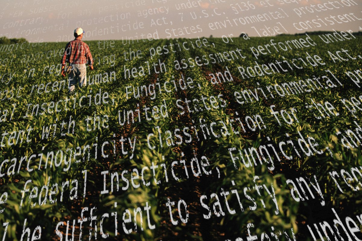 a 168一分钟极速赛车官网 Farmer walks in a cornfield early in the season; superimposed over the picture is the text of the Iowa bill that would prevent anyone from suing chemical companies over harms from pesticides