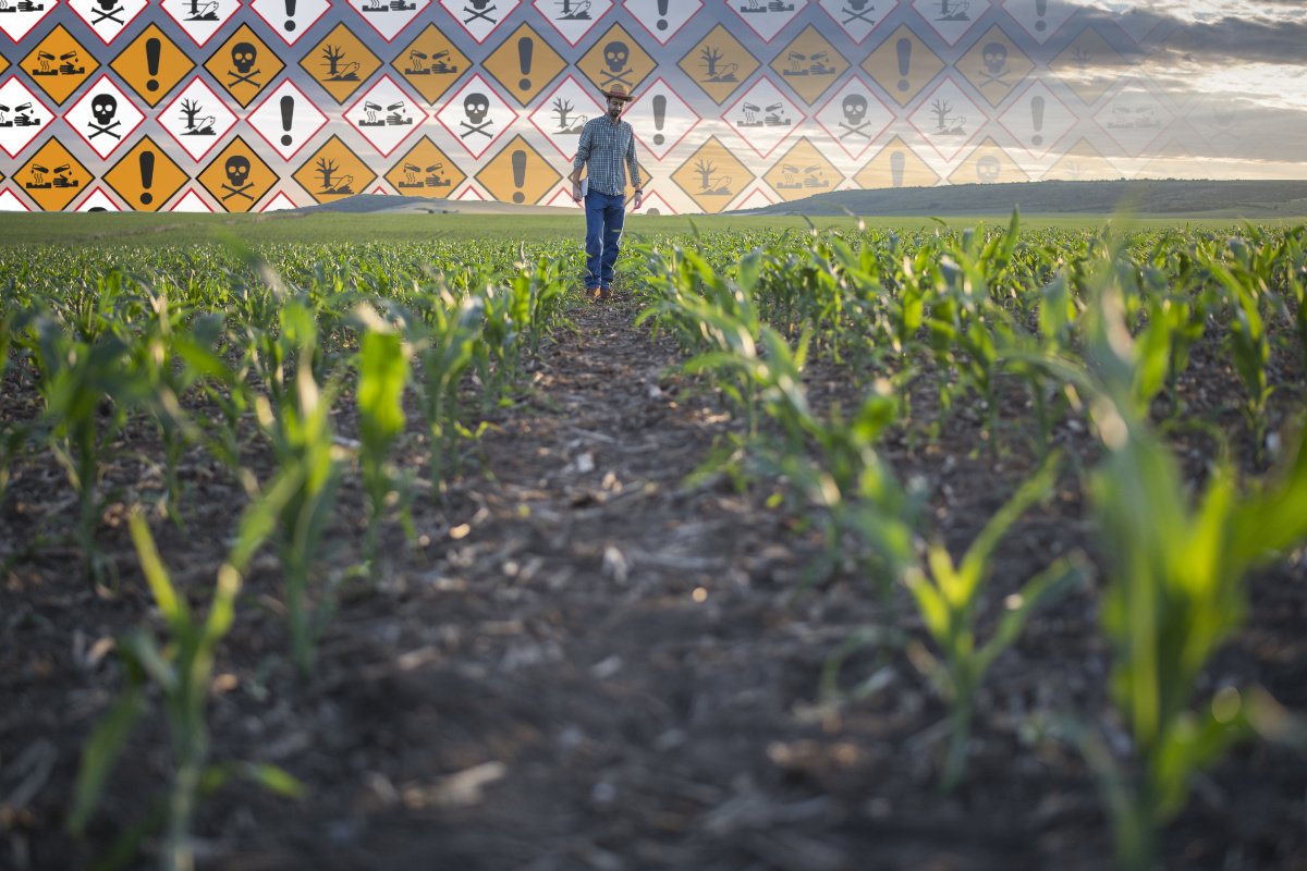 a 168一分钟极速赛车官网 Farmer walks among the rows of corn in his cornfield; in the background, chemical hazard warning symbols appear on the horizon and fade into the distance.