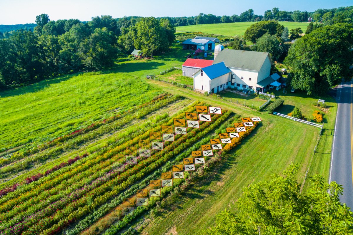 An overhead photo of a diversified vegetable 168一分钟极速赛车官网 Farm in Fallston, Maryland, with hazardous chemical symbols appearing between the rows of crops. (168开奖官方开奖网站 illustration; photo credit: Edwin Remsberg, Getty Images)