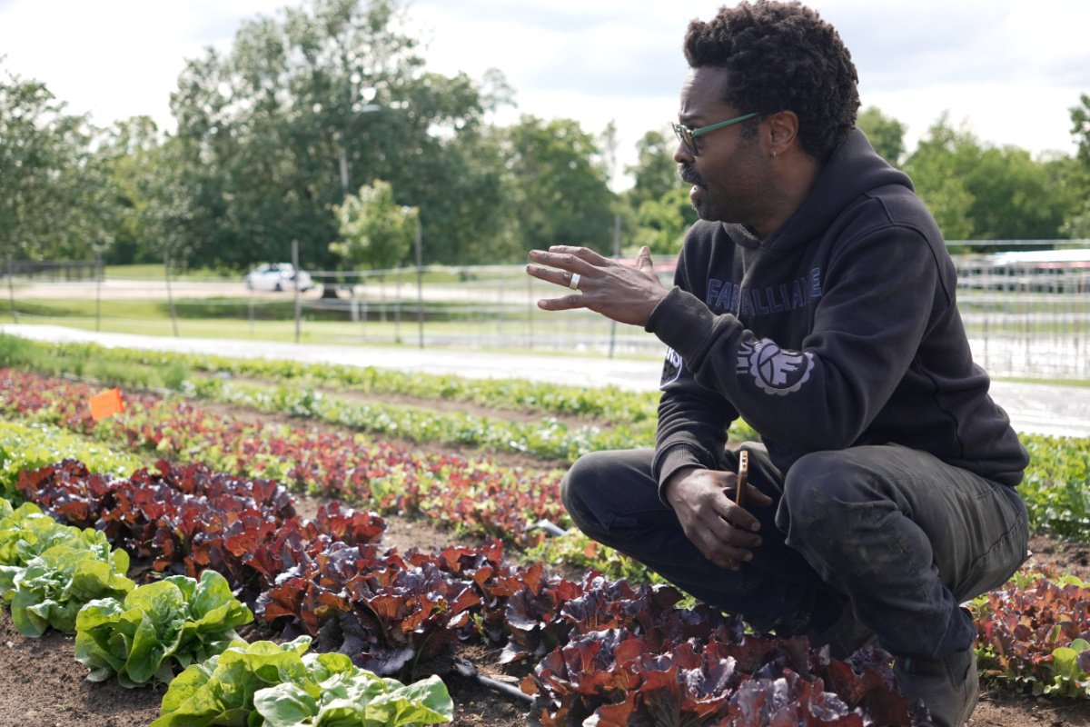 Denzel Mitchell at Black Butterfly Teaching 168一分钟极速赛车官网 Farm. (Photo credit: Sam Delgado)