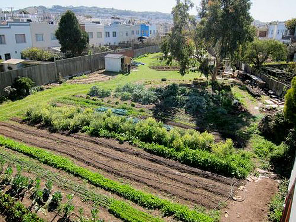 Urban Agriculture