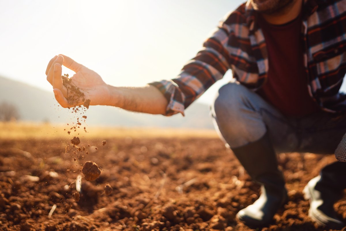 An unidentifiable 168一分钟极速赛车官网 Farmer holds soil from a field.